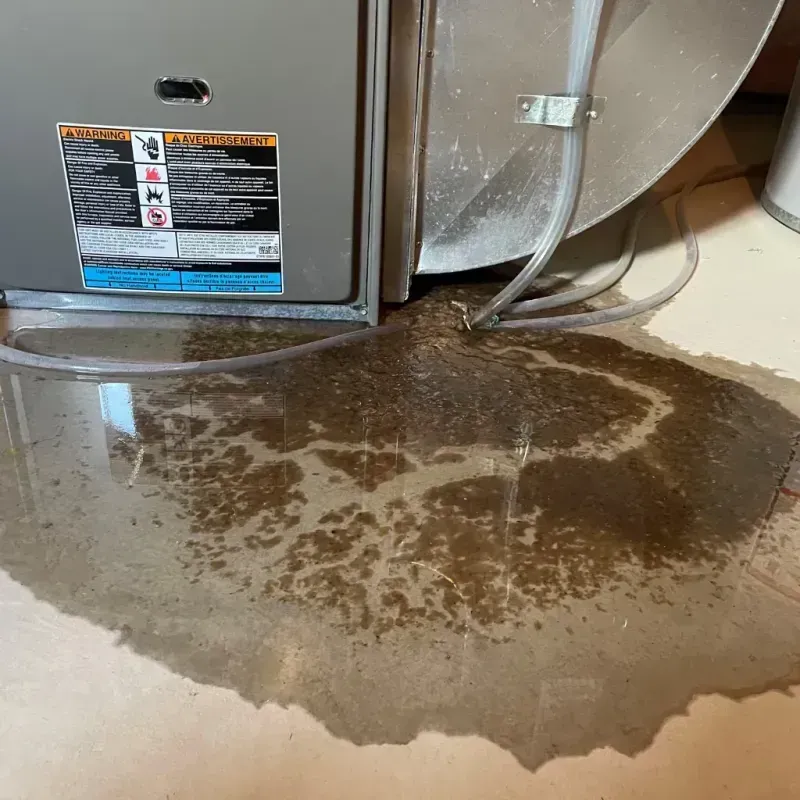 Appliance Leak Cleanup in Gloucester County, VA